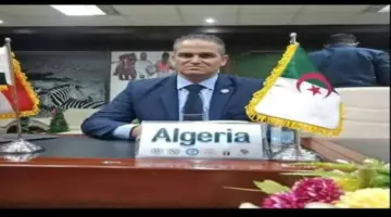 الجزائري علي عمارة نائباً لرئيس الاتحاد العربي للفنون القتالية المختلطة