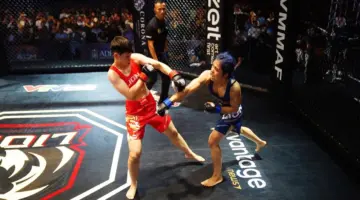 لماذا تحظى فنون القتال المختلطة (MMA) بهذه الجاذبية؟