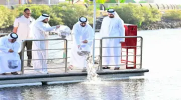 أحمد بن سعود يطلق إصبعيات سمك الشعري في كورنيش القواسم