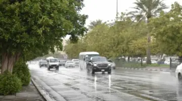 أمطار رعدية على 4 مناطق.. ورياح مثيرة للغبار تضرب 9 مناطق – أخبار السعودية