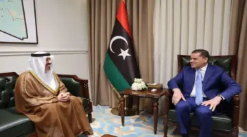 سفير الإمارات يلتقي رئيس حكومة الوحدة الوطنية في ليبيا ‹ جريدة الوطن