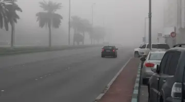 طقس الإمارات غداً.. صحو بوجه عام مع فرصة تشكل الضباب