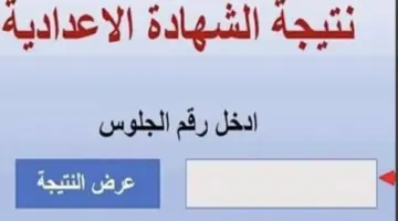 نتيجة الشهادة الإعدادية بالجيزة جاهزة للاعتماد.. رابط الحصول عليها