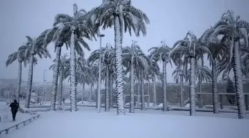 “النينيو” يهدد الاحتلال: أمطار غزيرة وفيضانات وثلوج محتملة