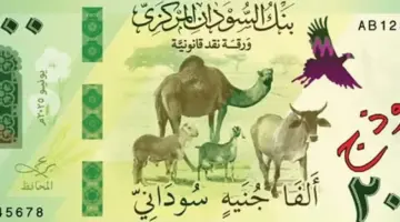 بنك السودان المركزي ينجح في توفير النقد الأجنبي لكافة طلبات الاستيراد المعلقة