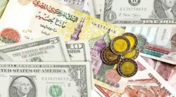 تغيرات جديدة في أسعار صرف الدولار والعملات الأجنبية مقابل الجنيه المصري اليوم