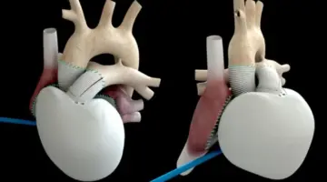 توقعات واشنطن بوست.. مدى دقة نبوءات علمية بمرور نصف قرن على انطلاقها