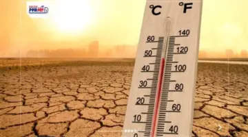 حالة الطقس غدا.. الأرصاد تكشف درجات الحرارة بالمحافظات وتحذر من الرطوبة