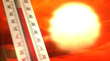 درجات الحرارة غدا..طقس شديد الحرارة رطب والقاهرة 36 للعظمى -جريدة المال