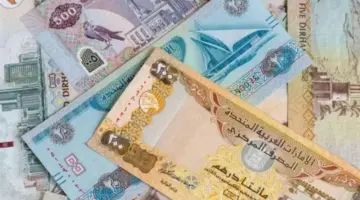 سعر الدرهم الإماراتي اليوم الأربعاء 1 يوليو 2026