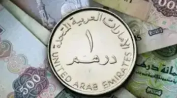 سعر الدرهم الإماراتي اليوم الأربعاء 1يوليو 2026