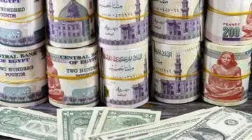ضغوط الأموال الساخنة تضع الجنيه المصري أمام تحديات جديدة في سوق الصرف