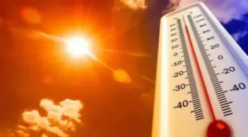 عاجل: انفجار حرارى فى مصر… الأرصاد تعلن طقس غد صادم: 42 درجة بالأقصر والـ37 بالقاهرة!
