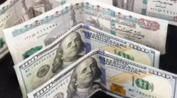 هبط 8 قروش.. انخفاض كبير لـ سعر الدولار أمام الجنيه بالبنوك الحكومية
