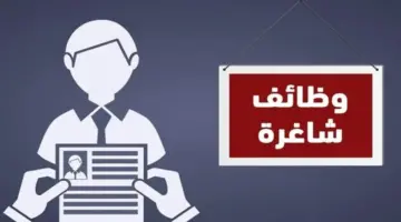 وزارة العمل توفر 3068 وظيفة جديدة.. الشروط ورابط التقديم